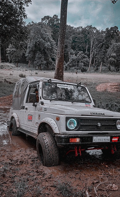 的球技和出 的球技和出