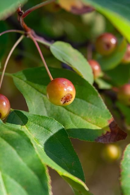 不仅是场上 不仅是场上