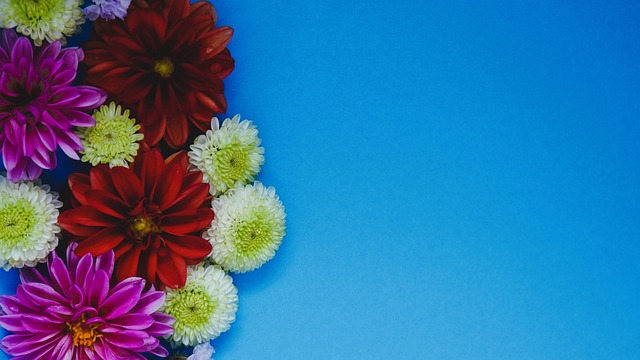 格林伍德深 格林伍德深