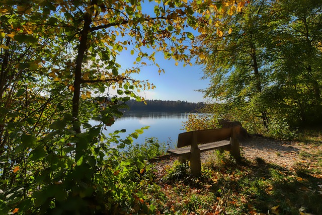 宋凯主席的 宋凯主席的