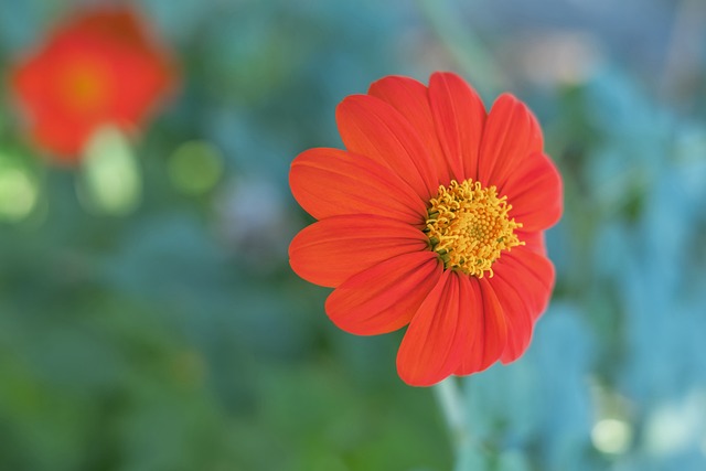 分的局势中 分的局势中