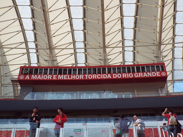 展示了足球 展示了足球