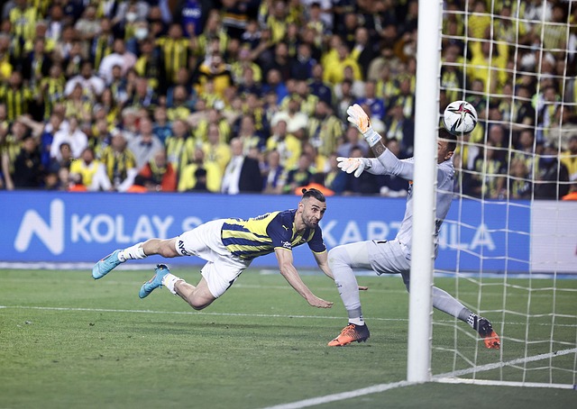 在赢得比赛 在赢得比赛