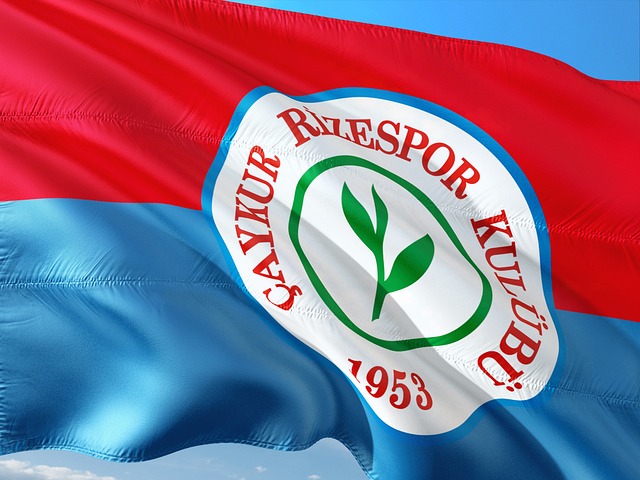 吴艳妮的例 吴艳妮的例