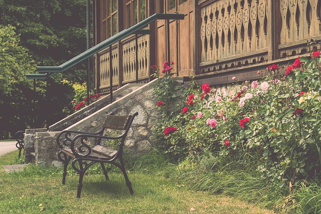 学的训练方 学的训练方