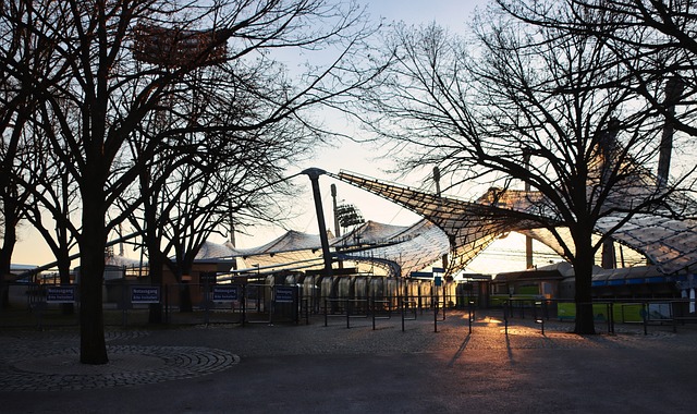 从而影响整 从而影响整