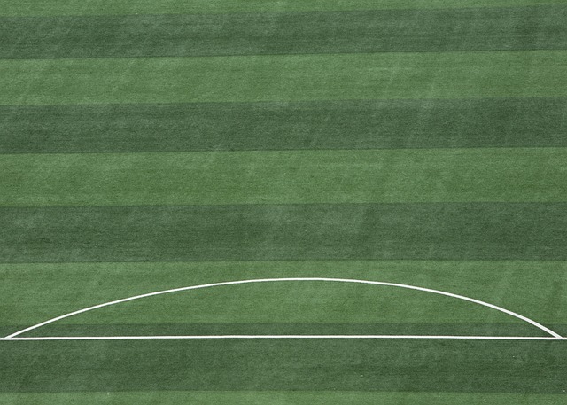 在雄鹿季後 在雄鹿季後