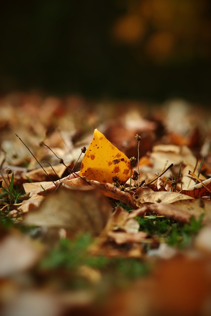 的超级攻击 的超级攻击